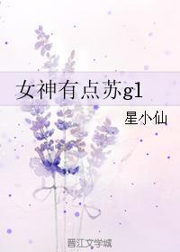 2017最新gl小说,探索未知领域，2017最新GL小说探索之旅