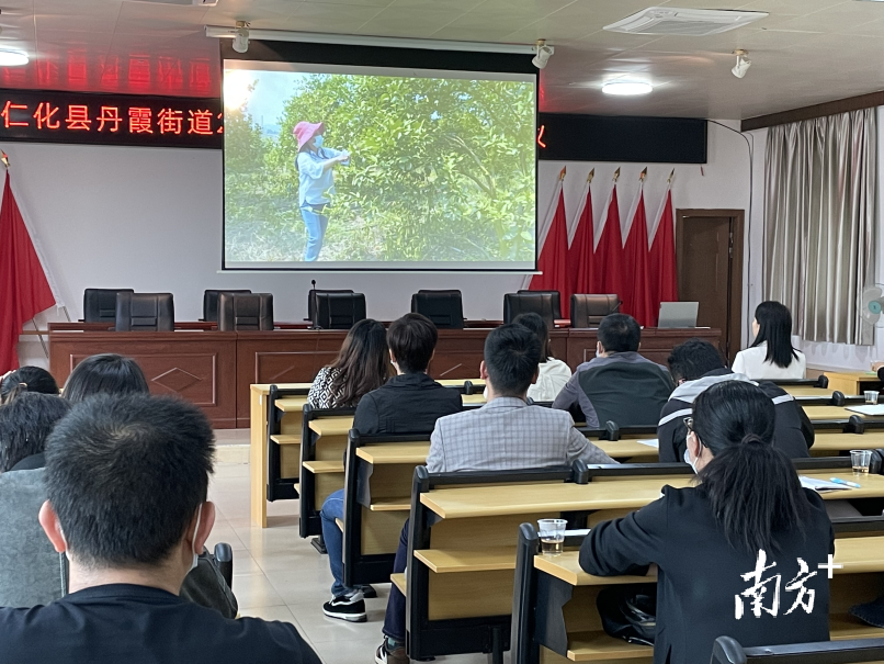 仁化故事视频，触动心灵，共鸣情感时刻