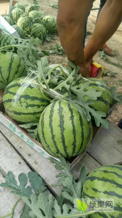铝基覆铜板 第336页