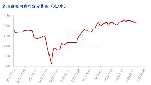 白羽肉鸡最新价格走势，市场分析与影响因素探讨