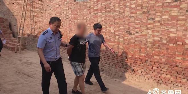 德州武城最新杀人事件揭秘，探究真相与社会反响