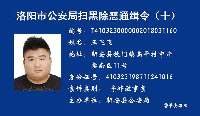 遂溪最新通缉名单，正义警钟长鸣，公众安全亟待守护