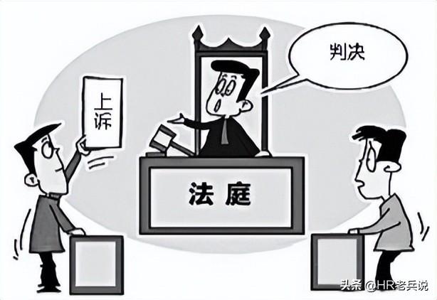 最新公司员工手册解读，构建高效团队的核心指南（完整版）