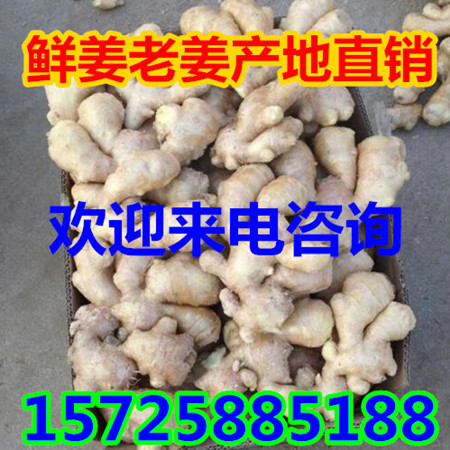 昌邑生姜最新价格行情揭秘，市场波动背后的故事探究