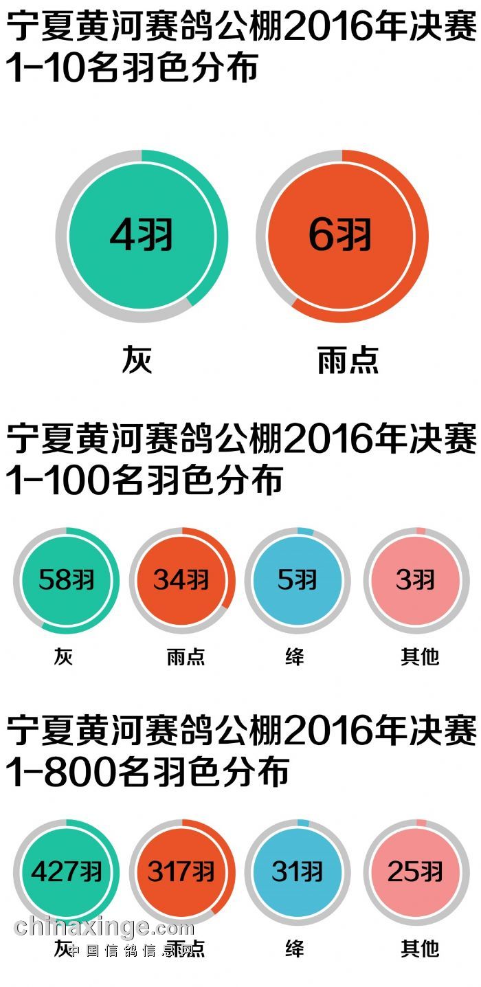 宁夏黄河赛鸽公棚开启全新赛鸽时代，最新公告发布