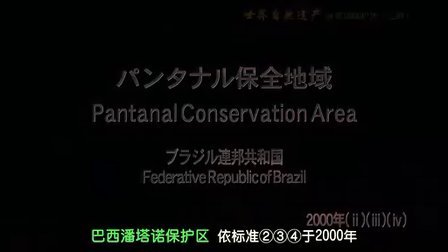 揭秘数字世界最新科技趋势，探索未来之门——最新1024探索数字世界前沿动态