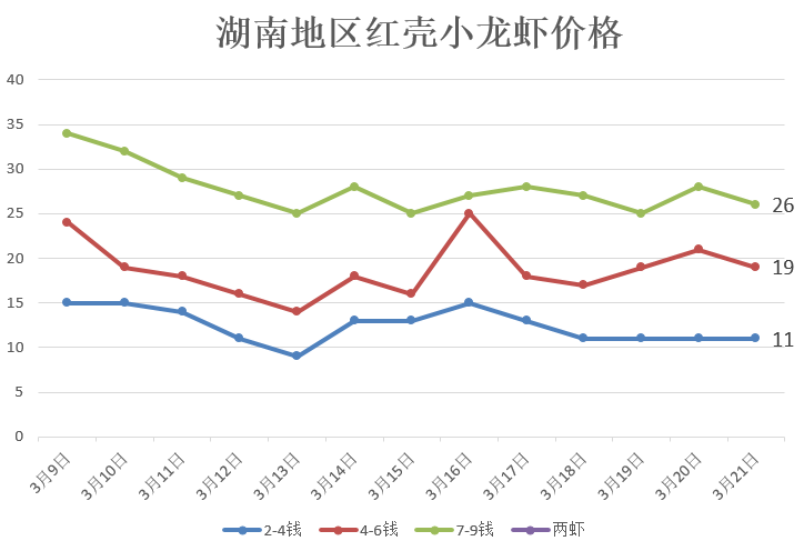 虾价格最新行情,虾价格最新行情深度解析，市场走势与未来展望