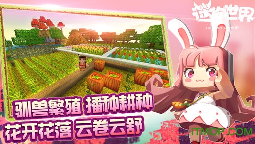 迷你世界最新版下载，探索虚拟世界的无限魅力之旅