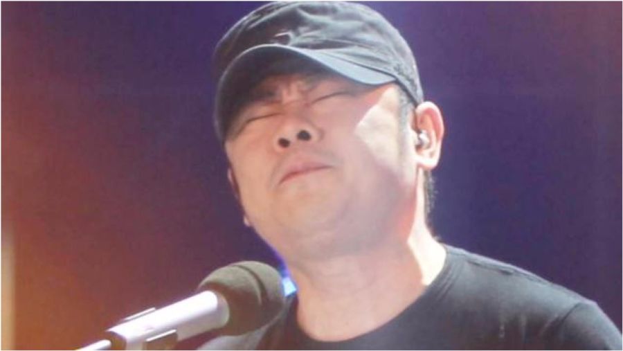 刀郎最新歌曲，音乐的力量，情感的共鸣