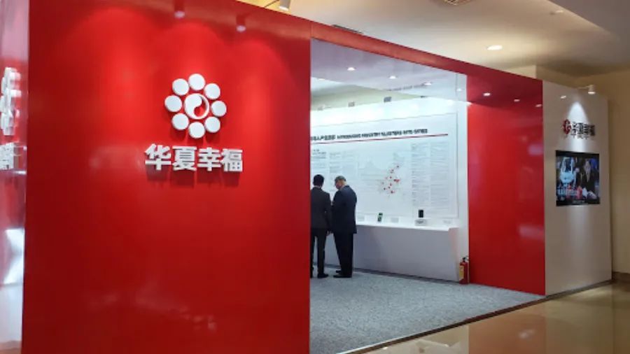 华夏幸福迈向未来的坚实步伐，最新消息与动态更新