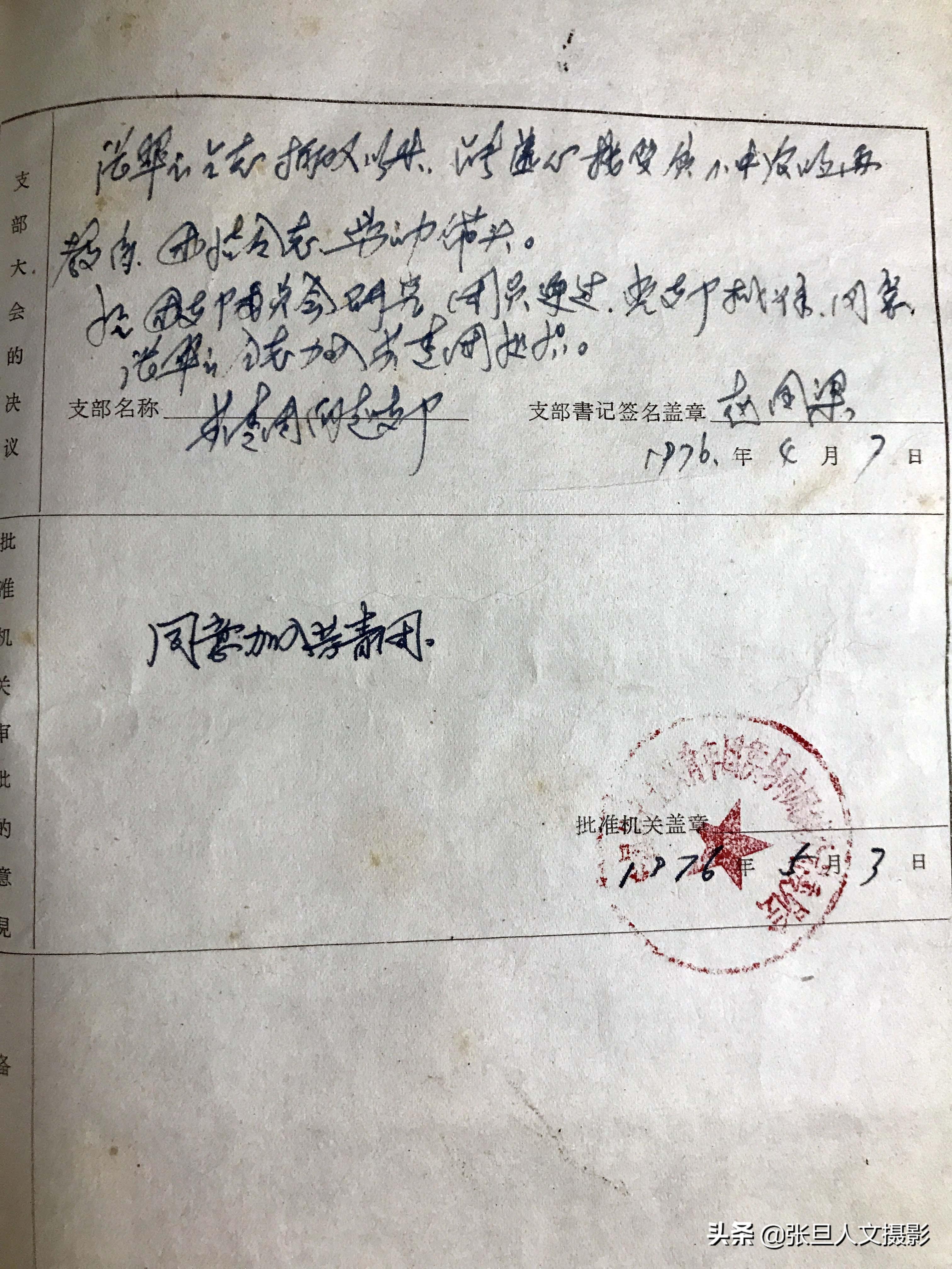 最新入团申请书解读，青春热忱与责任担当的担当之路