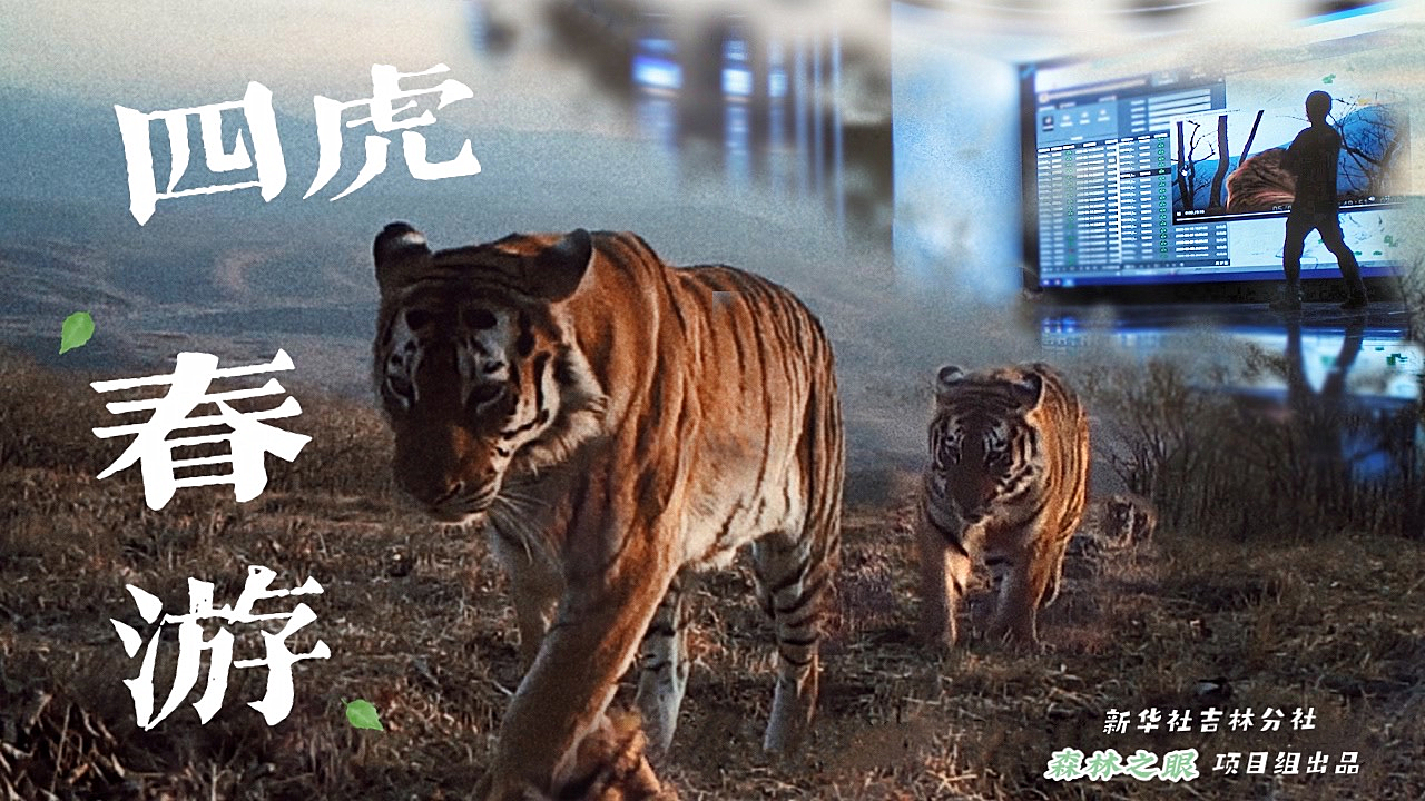 探索影视娱乐的新天地，最新四虎影院