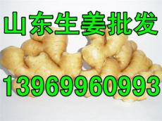 今日生姜价格动态及市场波动走势分析