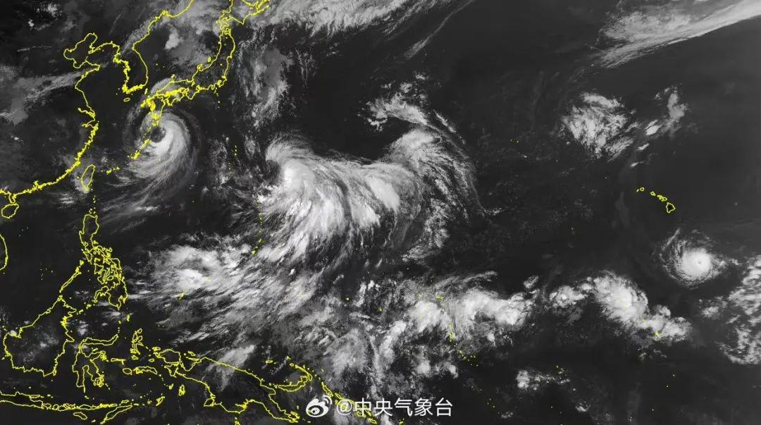 双台风最新动态，自然力量与人类关注焦点交汇之际的较量