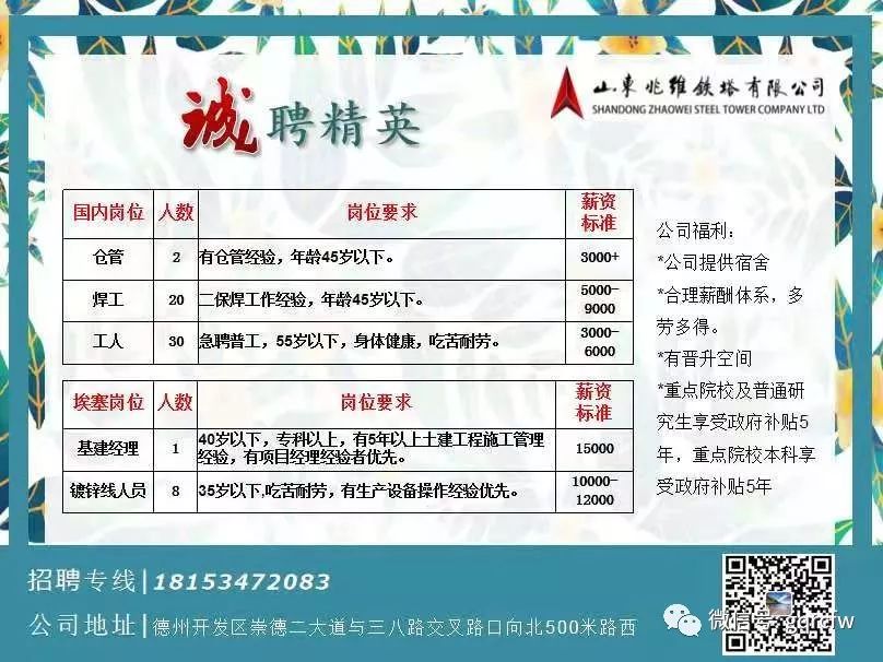 莱芜招聘网最新招聘信息，探寻职业发展新机遇