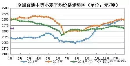 今天小麦价格的最新行情揭秘，市场波动背后的故事浮出水面。