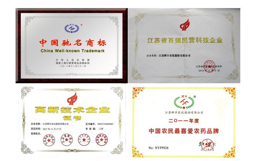 辉丰股份创新引领，迈向发展新高度，最新消息与动态汇总