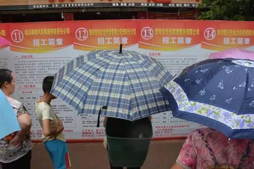 龙泉最新招聘信息及职业发展的无限探索