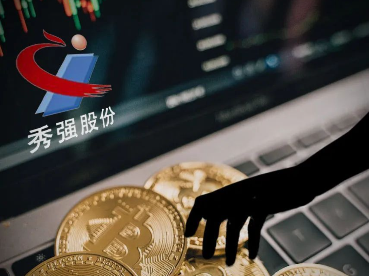 秀强股份，创新引领未来，发展势头强劲，最新动态揭秘！