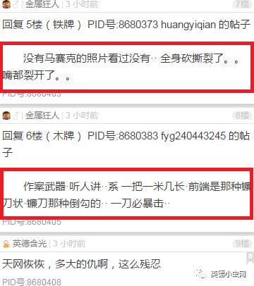英德小虫网最新招聘启事，探寻未来合作伙伴，加入我们的团队！