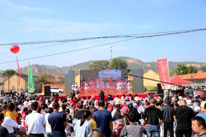 芋头价格最新行情走势深度解析，市场动态及分析预测