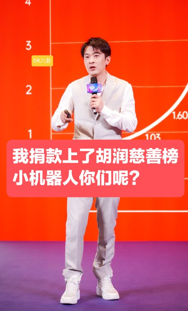 辛巴最新捐款展现爱心与责任的力量闪耀人间