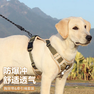 最新狗脖套,最新狗脖套，时尚与功能的完美结合