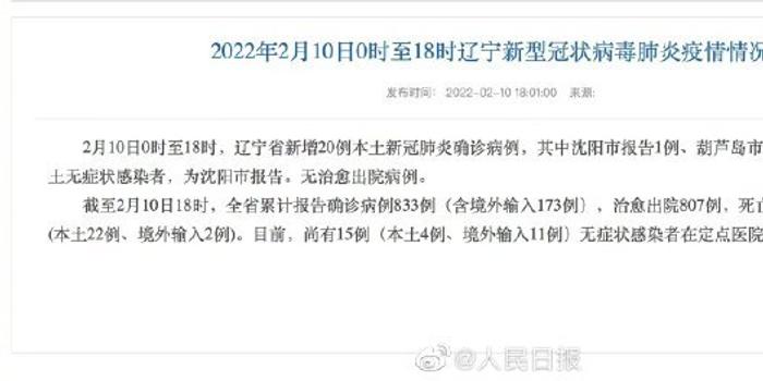 沈阳肺炎病例最新动态，共同关注，共同守护健康防线