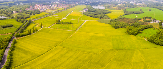 最新土地权改革，重塑未来，激发社会活力新篇章