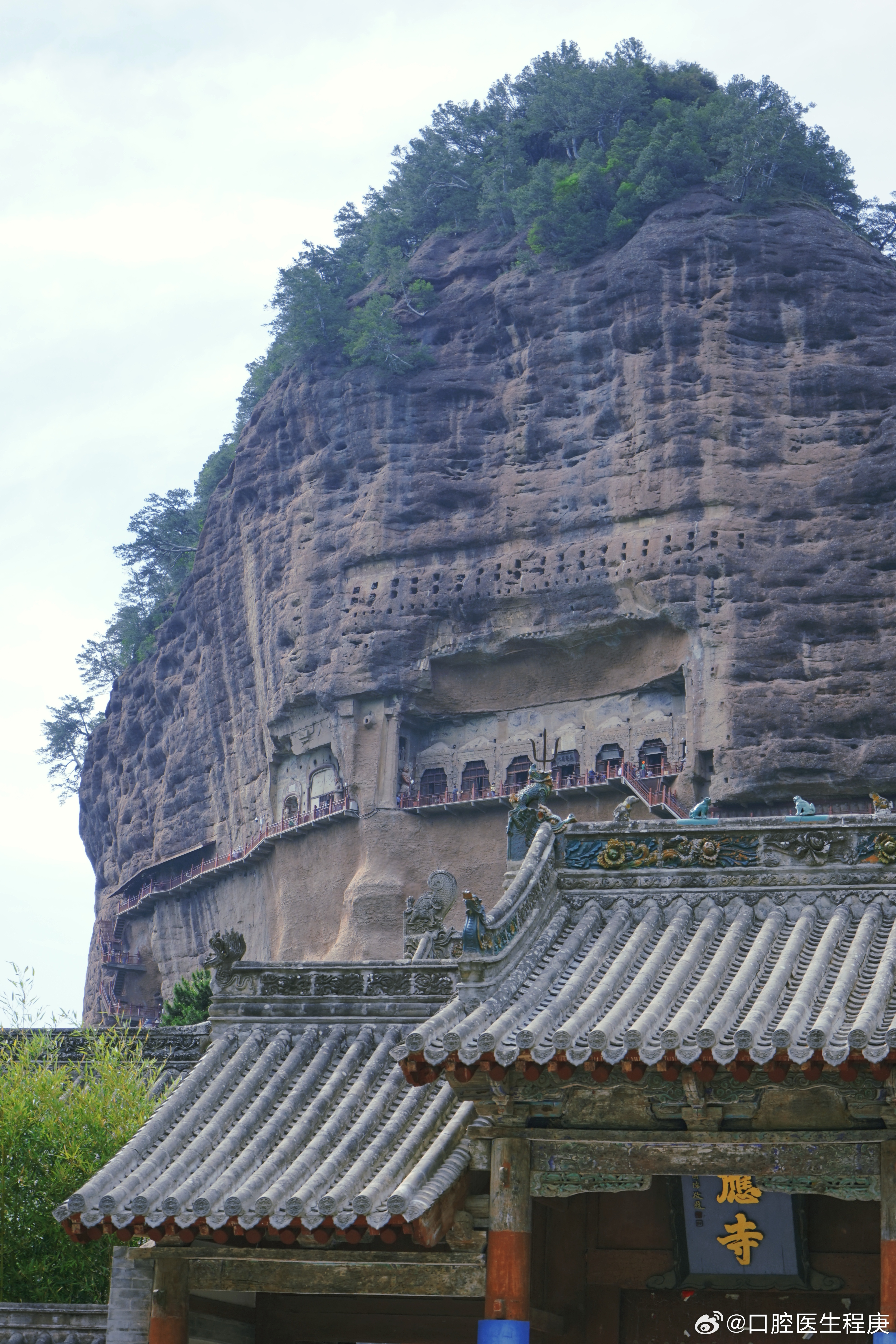 志浩与小秋的新篇章，追寻梦想的最新旅程探索