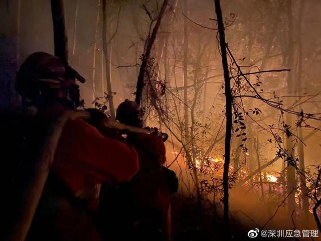 山火最新事件，人与自然面临的严峻挑战