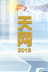 天网2018全集最新,天网2018全集最新，追踪真相的影像力量
