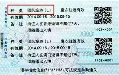 澳门入境最新签证政策解读，开启便利旅游新篇章