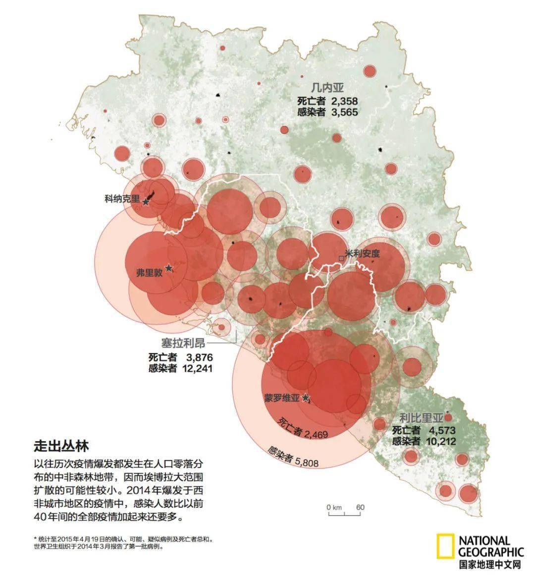 最新染病人数背后的故事，希望与挑战的较量