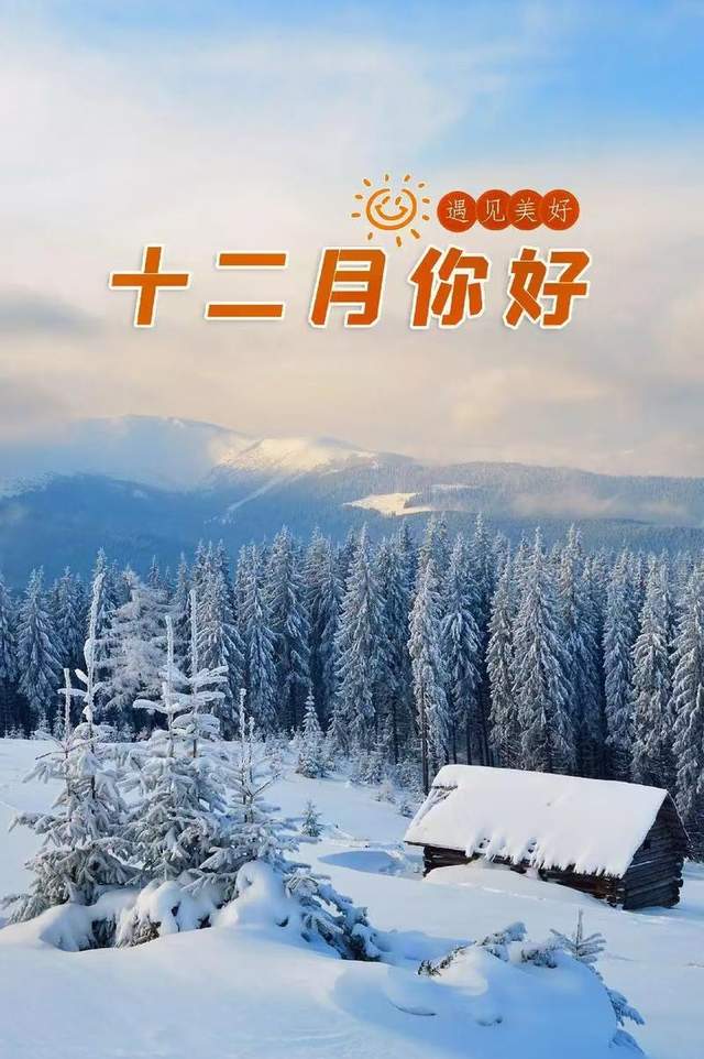 十二月最新,十二月最新，一场季节的盛宴与生活的诗意表达