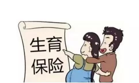 最新职工生育保险政策，护航职场女性生育权益的保障措施