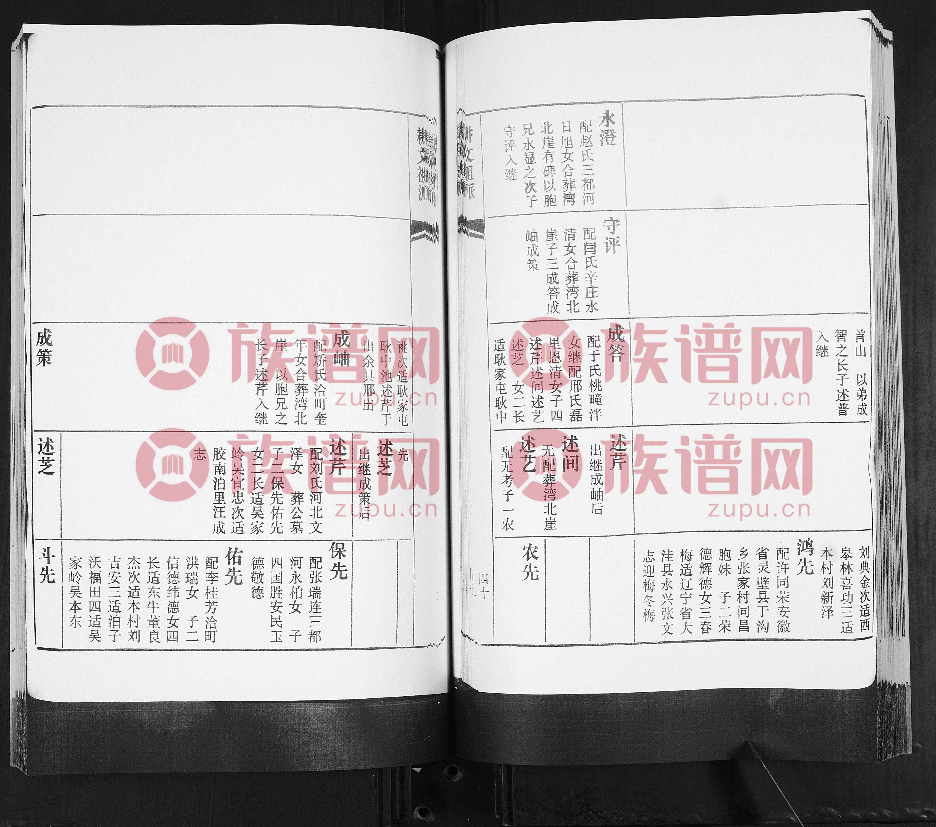 王氏家谱，传承与荣耀的传世篇章