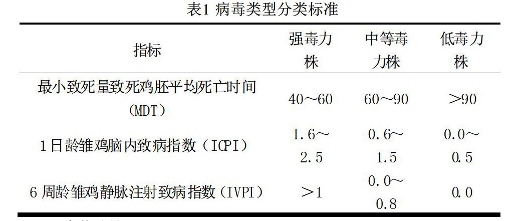 最新病毒鸡瘟，一场无声的战役挑战
