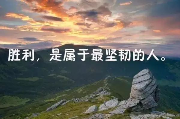 探索人生新境界的启示录，最新安发感悟分享