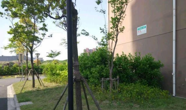 单曹路最新动态，揭示城市脉络的进化之路