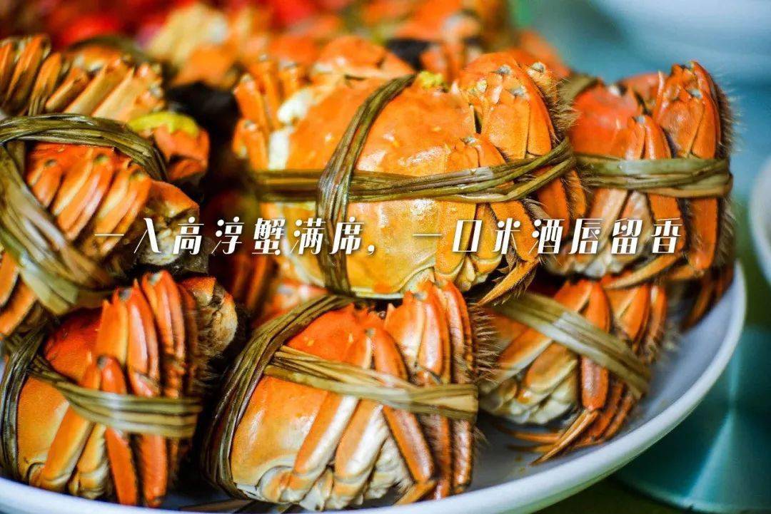 高淳螃蟹最新报价，美味佳肴新篇章开启
