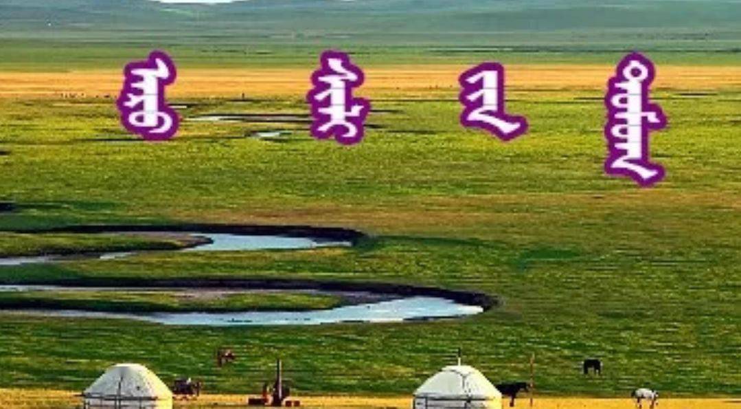 探索草原文明魅力，蒙古最新版之旅体验