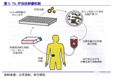 NK最新疗法突破医学界限，重塑健康未来新篇章