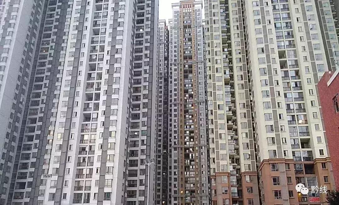 绿意盎然的生活诗篇，最新花果园的绽放之美
