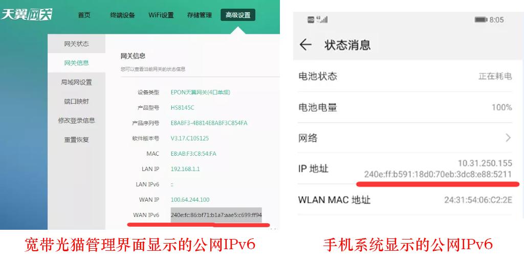最新动态域名，探索网络新领域的无限潜力