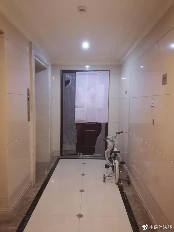 陈萧耿，探索无限可能的旅程最新动态