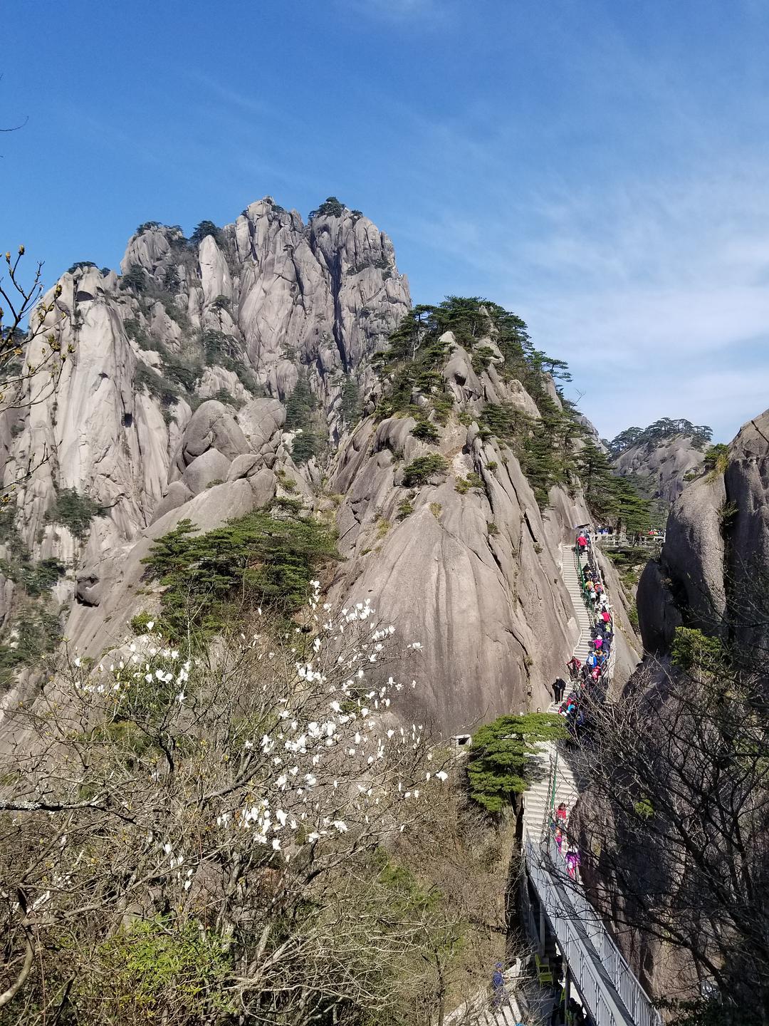最新黄山之旅，踏遍奇峰峻岭，尽揽自然之美