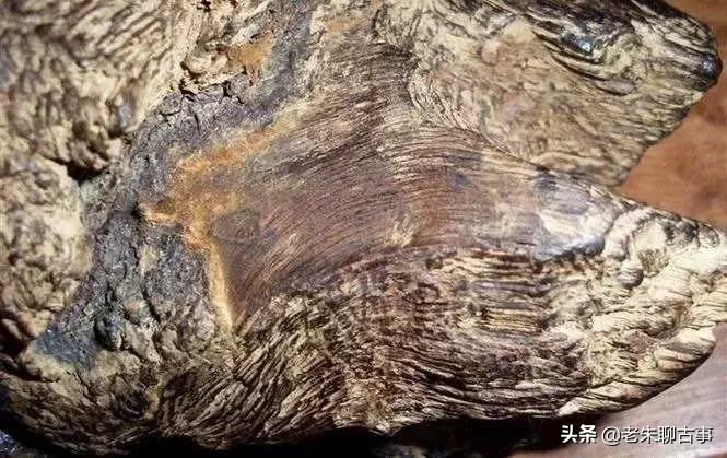 今日黄金价格波动解析，价格走势与解读