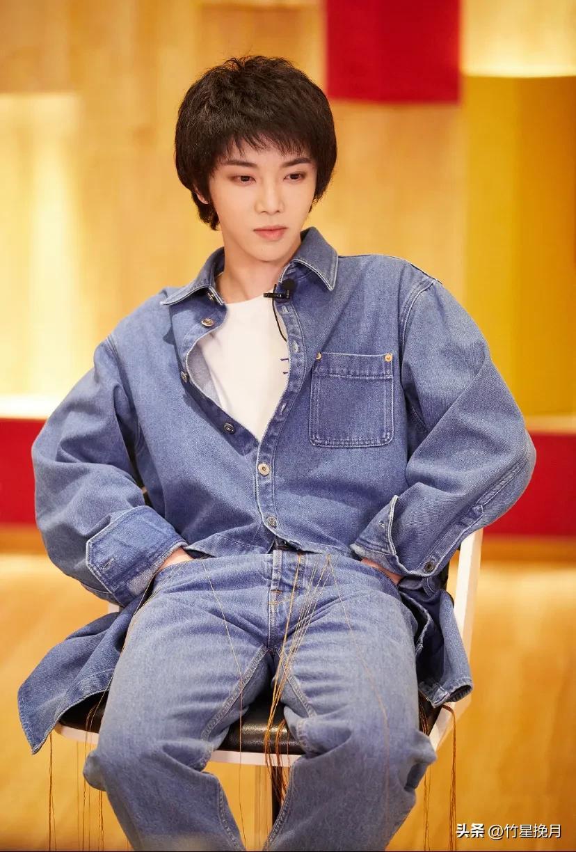 单身男明星，星光背后的孤独与坚韧之路