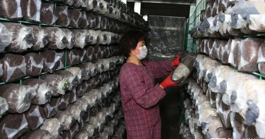 最新丙酮产品探索，应用前景及技术创新